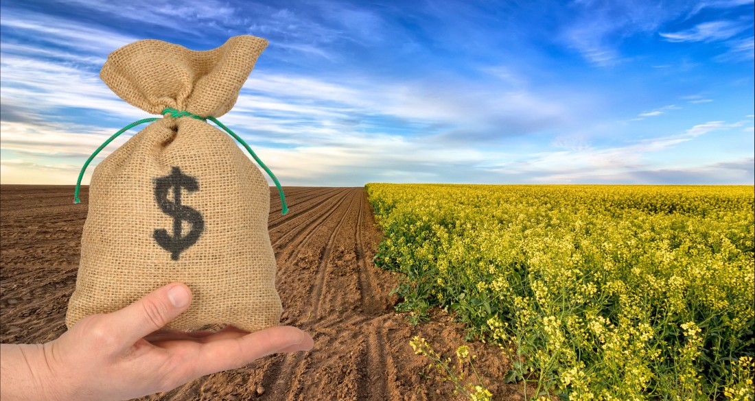 FecoAgro/RS alerta para gravidade do endividamento rural e cobra política pública